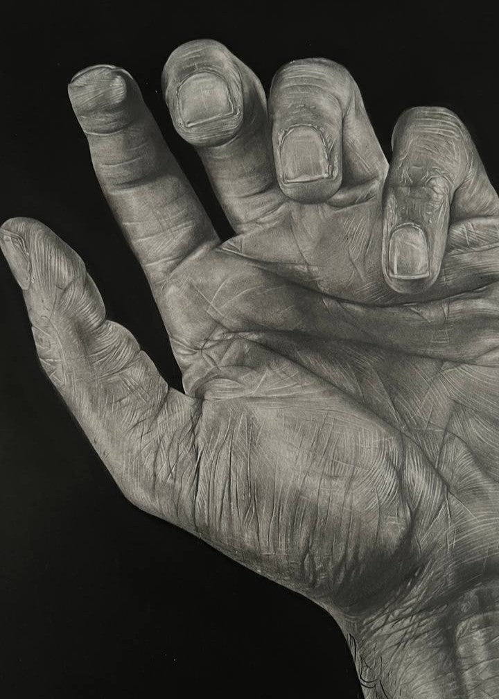 Creación